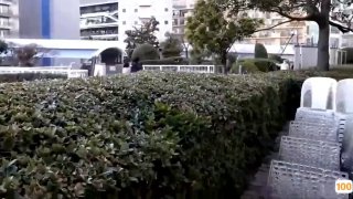 欧美日产幕乱码一区二区🈲欧美成人中文娱乐网🈲内地成人无码